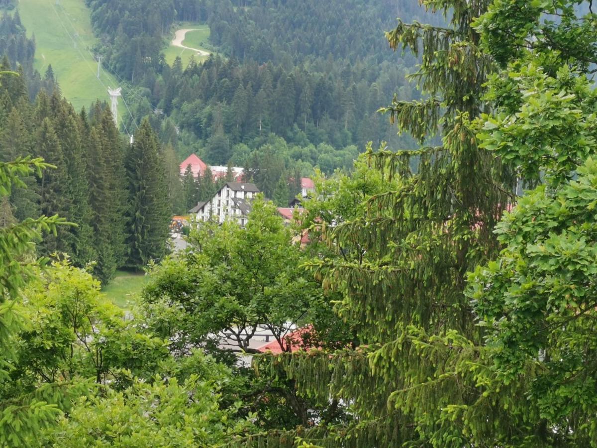 Pension Condor Poiana Brașov Exterior foto