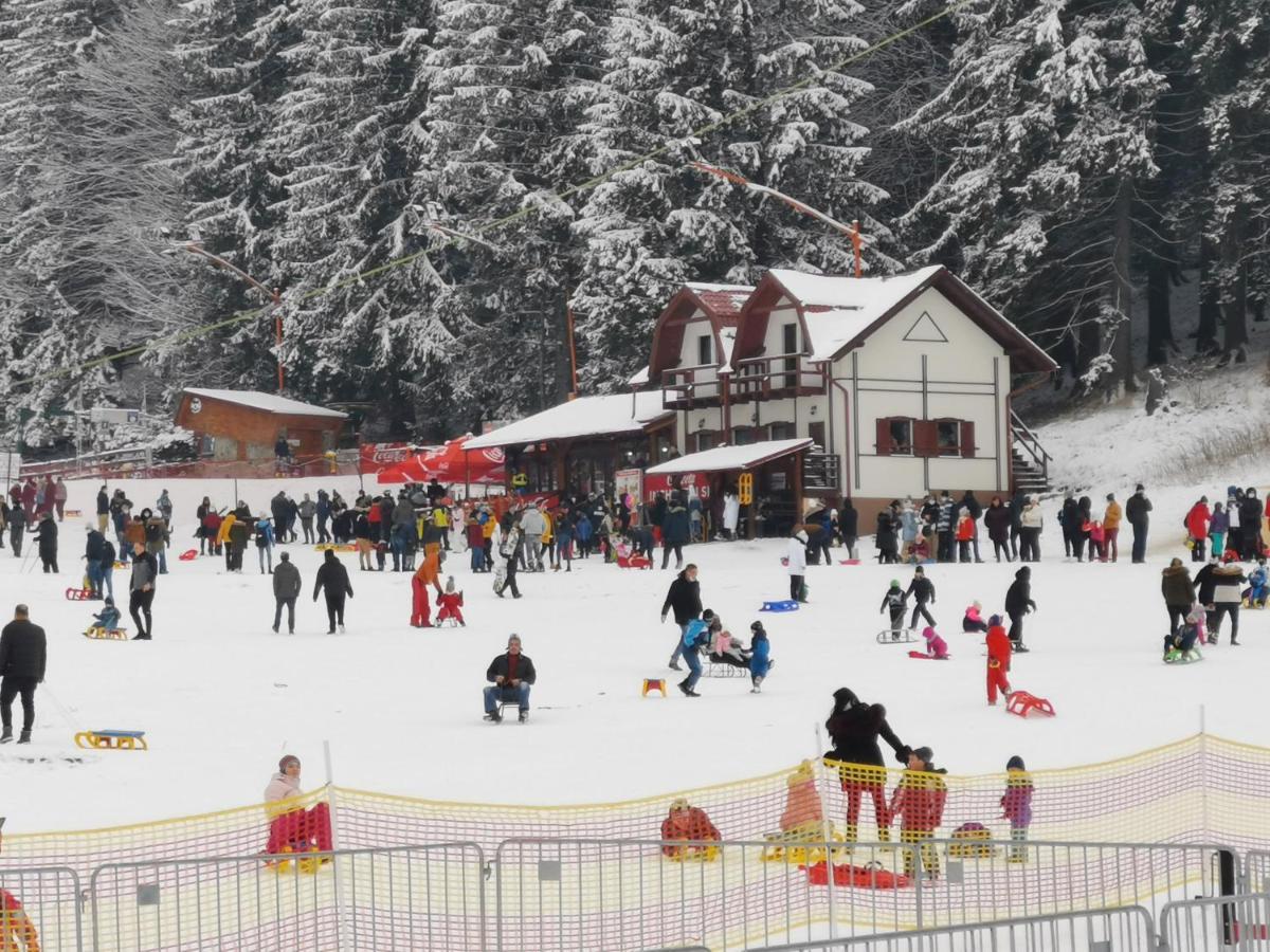 Pension Condor Poiana Brașov Exterior foto