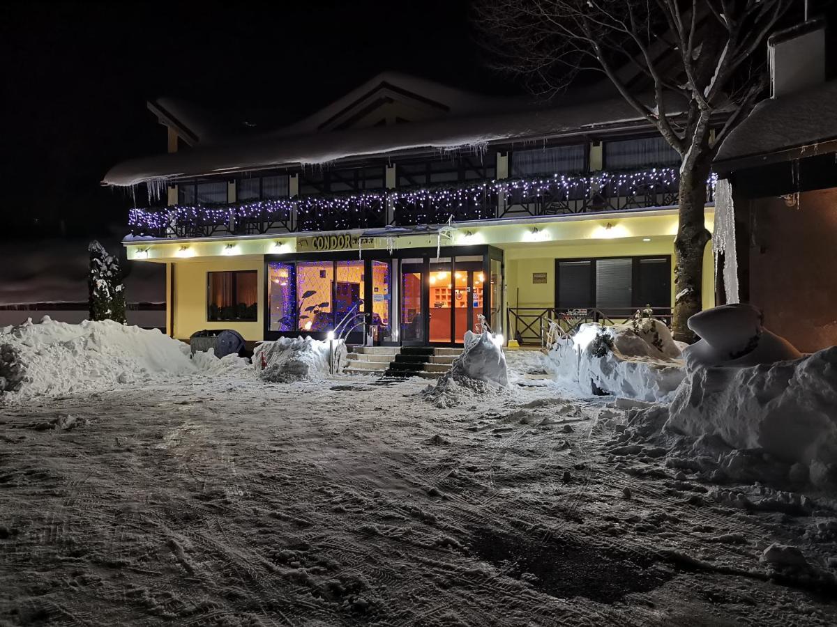 Pension Condor Poiana Brașov Exterior foto